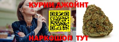 сатива Нальчик