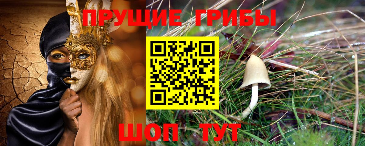 Галлюциногенные грибы Magic Shrooms Фрязино
