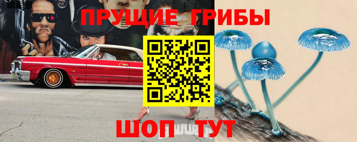 Фрязино  Псилоцибиновые грибы ЛСД  Вход с VPN 