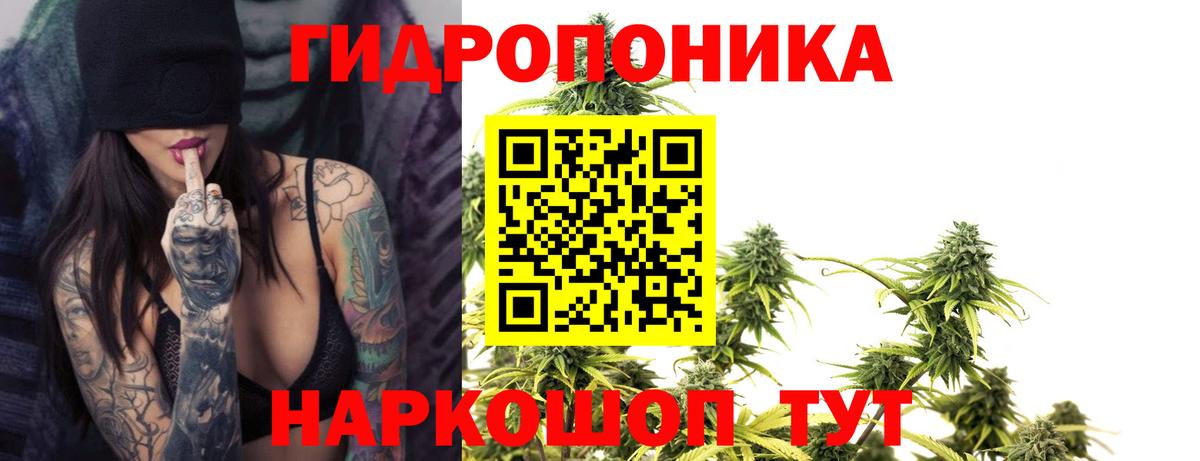 Каннабис семена  Шишки марихуана тримм  Вход с VPN  МАРИХУАНА конопля  Фрязино 